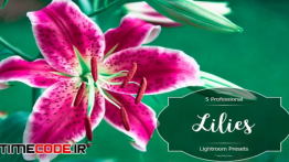 دانلود 5 پریست لایت روم Lilies Lr Presets