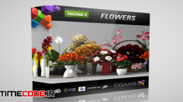 دانلود مجموعه مدل آماده سه بعدی : گل و گلدان CGAxis Models Volume 6 Flowers