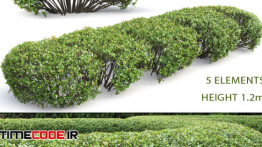 دانلود مدل آماده سه بعدی گیاه های فضای سبز Cotoneaster shiny hedge
