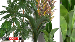 دانلود مدل آماده سه بعدی : گل و گیاه Collection of plants.
