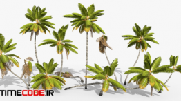 دانلود مدل آماده سه بعدی : درخت نخل Coconut Palm Trees Asset 1