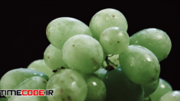 دانلود استوک فوتیج : نمای بسته انگور Fresh Organic Grapes