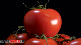 دانلود استوک فوتیج : نمای بسته از گوجه فرنگی Fresh Tomatoes Rotating Slowly