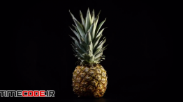 دانلود استوک فوتیج : نمای چرخیدن دور آناناس Pineapple Rotating In Slow Motion