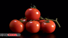 دانلود استوک فوتیج : گوجه فرنگی Red Fresh Tomatoes Rotating