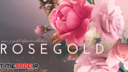 دانلود مجموعه تصاویر استوک از گل Rosegold Collection