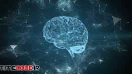 دانلود فوتیج موشن گرافیک : مغز Plexus Tech Around Human Brain
