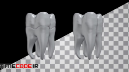 دانلود فوتیج موشن گرافیک : دندان White Realistic Tooth