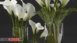 دانلود مدل آماده سه بعدی : گلدان Calla Lily