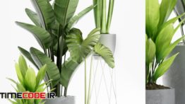 دانلود مدل آماده سه بعدی : گل و گیاه PLANTS 155