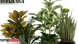 دانلود مدل آماده سه بعدی : گل و گیاه Plants Collection 75 Modernica Pots