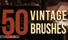 50 vintage brushes 24051283 29 48 991