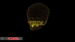 دانلود فوتیج موشن گرافیک : هولوگرام جمجمه Skull Hologram