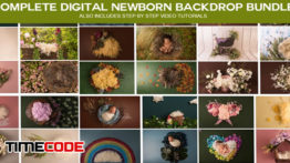 دانلود مجموعه ۲۴۲ فون نوزاد Digital Newborn Backdrop Bundle