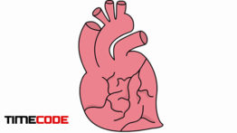 دانلود انیمیشن ترسیم قلب Heart Medical Sketch Illustration Hand Drawn Animation Transparent