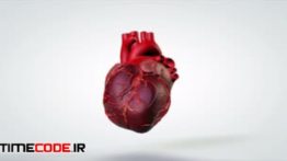 دانلود انیمیشن قلب Human Heart Rotation Animation Medical Concept. 4K Loop