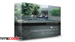 دانلود مدل آماده سه بعدی : درخت CGAxis Models Volume 62 3D Trees VI