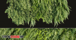 دانلود مدل آماده سه بعدی : گیاه رونده Vertical Garden 01