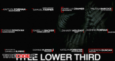 title lower third 317291 22 16 595
