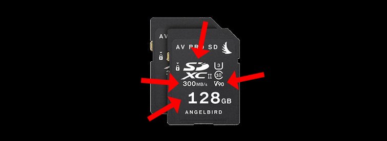 Learn How to Pick the Best Media Card for Your Camera 
