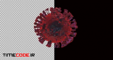 corona virus alpha 26308219 41 02 358