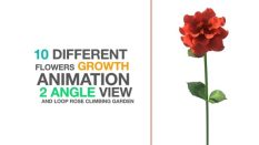 inline image preview 4