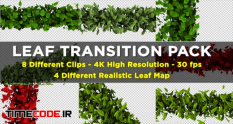 leaf transition pack 4k 23020669 14 08 983