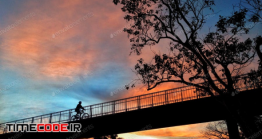 دانلود عکس استوک : ضد نور مرد با دوچرخه روی پل Autumn Sky