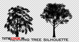 دانلود فوتیج آلفا درخت Tree Silhouette Reviving