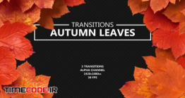 دانلود ترنزیشن آلفا برگ های پائیزی Autumn Leaves Transitions