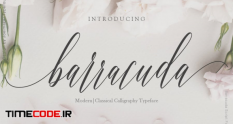 barracuda script 30073 44 04 464