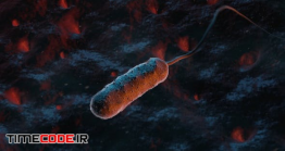 دانلود فوتیج حرکت باکتری Bacteria Vibrio Vulnificus