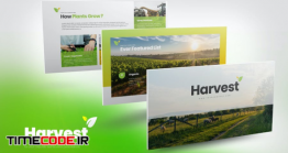 دانلود تم پاورپوینت کشاورزی Harvest PowerPoint Presentation