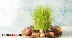 novruz traditional tray with green wheat grass 12692428 26 01 072