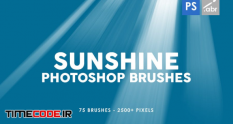 75 sunshine photoshop stamp brushes 37714 08 13 573