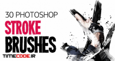 30 stroke brushes 5531 36 39 945