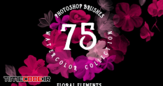 75 photoshop brushes watercolor collection 30306 28 57 241