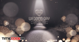 دانلود پروژه آماده افتر افکت : بسته کلیپ عروسی Wedding Day