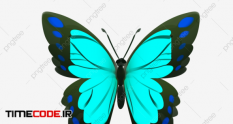 blue butterfly decoration illustration 4637043 37 28 611