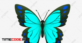 دانلود کلیپ آرت پروانه Blue Butterfly Decoration Illustration