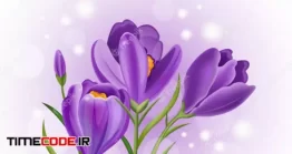 دانلود وکتور گل زعفران Crocus Ultra Violet Flowers Bouquet