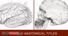 دانلود پروژه آماده افتر افکت : اینفوگرافی جمجمه و اعضا بدن HUD UI Anatomical Titles
