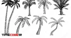 palm trees set sketch different types palms 9770312 21 54 679