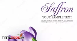 دانلود وکتور گل زعفران Vector Illustration With Saffron Flowers