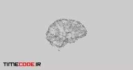 دانلود فوتیج سه بعدی مغز انسان Brain