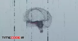 دانلود فوتیج ایکس ری مغز انسان Brain X-Ray