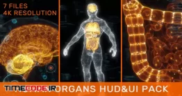 دانلود فوتیج اسکن سه بعدی بدن انسان Human Organs HUD Pack