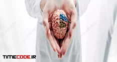 panoramic shot of doctor holding model of brain in 17019 56 45 017
