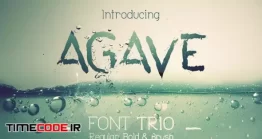 دانلود فونت انگلیسی قلمو جوهری  Agave Font Trio