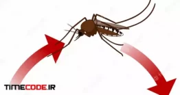 دانلود اینفوگرافیک چرخه حیات پشه Life Cycle Of Mosquito